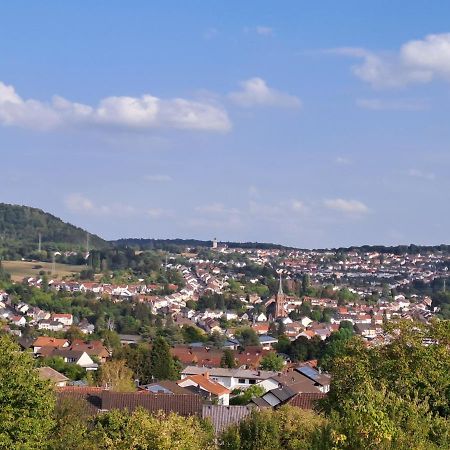 Ferienwohnung Schleiten Puttlingen ภายนอก รูปภาพ